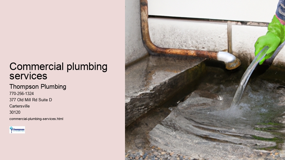 Commercial plumbing services
