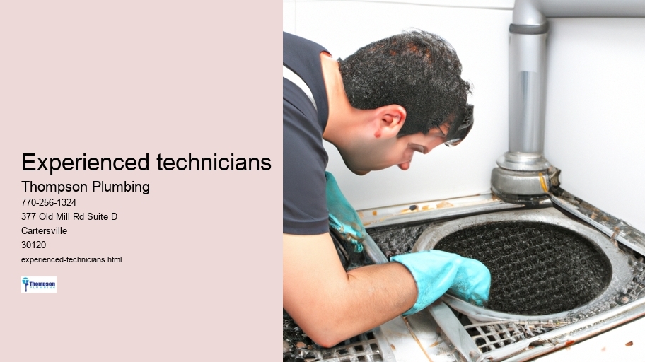 Experienced technicians